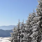 Mathiasl Wellness-ferienhaeuser ボーデンスドルフ