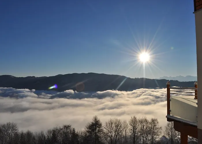 ماثياسل ويلنيس-فيرينهاوزر * بودينسدورف