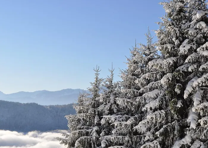 Mathiasl Wellness-ferienhaeuser Bodensdorf